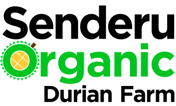 Senderu Organic Durian Farm